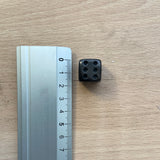 Dado de Shungite  | Shungite Dice
