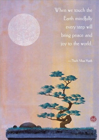 When we touch the Earth mindfully every step will bring peace and joy to the world. -Thich Nhat Hanh