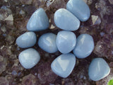 Angelite | Angelite  - Pedras Roladas | Tumbled Stones