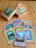 Messages from Your Animal Spirit Guides Cards | Steven D. Farmer